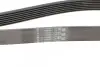 Пас поліклиновий Toyota Avensis 2.0 D-4D 08-18 CONTINENTAL Contitech 7PK1370 (фото 3)