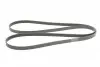Пас поліклиновий VW Crafter 2.5TDI 06-13 CONTINENTAL Contitech 6PK2581 (фото 5)