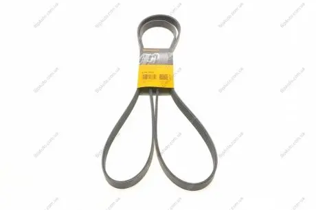 Доріжковий пас Contitech 6PK2260
