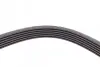 Пас поліклиновий VW T4 2.4D/2.5/2.5TDI 90-03/Lexus CONTINENTAL Contitech 6PK2236 (фото 3)