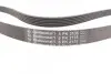 Пас поліклиновий CONTINENTAL Contitech 6PK2135 (фото 2)