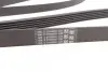Пас поліклиновий CONTINENTAL Contitech 6PK2135 (фото 3)