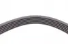 Пас поліклиновий CONTINENTAL Contitech 6PK2135 (фото 4)