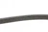 Пас поліклиновий MB C-class (W202) 93-01/E-class (CONTINENTAL Contitech 6PK2040 (фото 2)