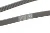 Поликлиновой ремень Contitech 6PK2050 (фото 3)