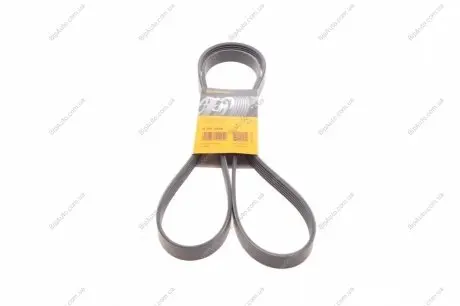 Поликлиновой ремень Contitech 6PK1836