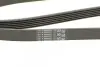 Поликлиновой ремень Contitech 6PK1830 (фото 4)