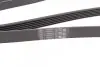 Пас поліклиновий Fiat Doblo 1.9D/JTD 01- (+AC) CONTINENTAL Contitech 6PK1815 (фото 3)