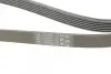 Пас поліклиновий VW T4 2.4D/2.5TDI 90-03/Ford Fies CONTINENTAL Contitech 6PK1767 (фото 3)