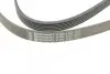 Пас поліклиновий VW T4 2.4D/2.5TDI 90-03/Ford Fies CONTINENTAL Contitech 6PK1767 (фото 4)