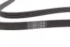 Пас поліклиновий Renault Clio/Laguna/Megane 1.4/1. CONTINENTAL Contitech 6PK1750 (фото 2)