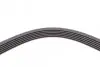 Пас поліклиновий Renault Clio/Laguna/Megane 1.4/1. CONTINENTAL Contitech 6PK1750 (фото 4)