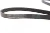 Пас поліклиновий Ford Connect 1.8 TDCI CONTINENTAL Contitech 6PK1720 (фото 2)