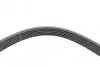 Пас поліклиновий Ford Connect 1.8 TDCI CONTINENTAL Contitech 6PK1720 (фото 3)