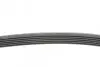 Пас поліклиновий Citroen Jumper 1.9TD 94-02 (ALT,P CONTINENTAL Contitech 6PK1705 (фото 2)