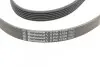 Пас поліклиновий Citroen Jumper 1.9TD 94-02 (ALT,P CONTINENTAL Contitech 6PK1705 (фото 3)