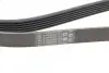 Пас поліклиновий Citroen Jumper 1.9TD 94-02 (ALT,P CONTINENTAL Contitech 6PK1705 (фото 4)