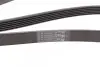 Пас поліклиновий Citroen Berlingo 1.6 00-08/ Nemo CONTINENTAL Contitech 6PK1560 (фото 3)