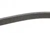 Пас поліклиновий VW T5/Amarok 2.0TDI 09-/Ford Focu CONTINENTAL Contitech 6PK1555 (фото 2)