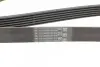 Пас поліклиновий VW T5/Amarok 2.0TDI 09-/Ford Focu CONTINENTAL Contitech 6PK1555 (фото 3)