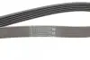 Пас поліклиновий Skoda Octavia 1.4/1.6 96-10/BMW 5 CONTINENTAL Contitech 6PK1548 (фото 3)