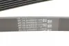Доріжковий пас Contitech 6PK1530 (фото 3)