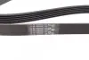 Пас поліклиновий CONTINENTAL Contitech 6PK1453 (фото 2)