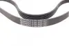 Пас поліклиновий CONTINENTAL Contitech 6PK1453 (фото 3)