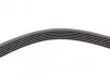 Пас поліклиновий CONTINENTAL Contitech 6PK1453 (фото 4)