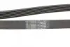 Пас поліклиновий Citroen Berlingo/Jumpy/Fiat Scudo CONTINENTAL Contitech 6PK1440 (фото 3)