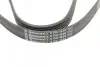Пас поліклиновий Citroen Berlingo/Jumpy/Fiat Scudo CONTINENTAL Contitech 6PK1440 (фото 4)