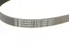 Пас поліклиновий Ford Focus/Mazda 3/5/Volvo S40/V5 CONTINENTAL Contitech 6PK1306 (фото 4)