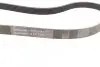 Пас поліклиновий Citroen Jumpy 2.0HDI 10- CONTINENTAL Contitech 6PK1244 (фото 2)