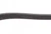 Пас поліклиновий Citroen Jumpy 2.0HDI 10- CONTINENTAL Contitech 6PK1244 (фото 3)