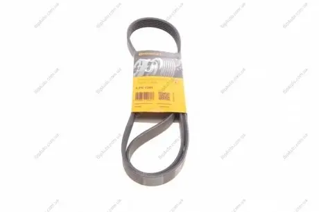 Пас поліклиновий Citroen Jumpy 2.0HDI 10- CONTINENTAL Contitech 6PK1244