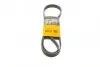 Доріжковий пас CONTITECH 6PK1240
