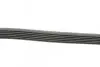 Пас поліклиновий Peugeot Partner 1.6 VTi 08- (-AC) CONTINENTAL Contitech 6PK1205 (фото 2)