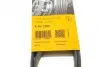 Пас поліклиновий Peugeot Partner 1.6 VTi 08- (-AC) CONTINENTAL Contitech 6PK1205 (фото 6)
