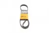 Пас поліклиновий Citroen Jumper/Peugeot Boxer 3.0H CONTINENTAL 6PK1165
