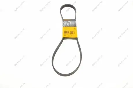 Пас поліклиновий Nissan Nida 1.8 07-12/Fiat Ducato CONTINENTAL Contitech 6PK1105