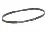 Пас поліклиновий Toyota Camry 3.0 01-06/Peugeot 20 CONTINENTAL Contitech 6PK1038 (фото 4)