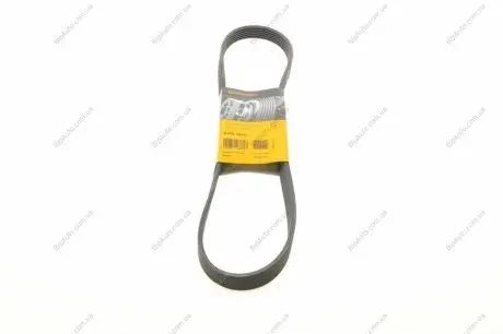 Пас поліклиновий Citroen Jumper/Peugeot Boxer2.5D/ CONTINENTAL Contitech 6PK1010