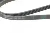 Пас поліклиновий BMW 3 (E36) 318tds 95-00/Chevrole CONTINENTAL Contitech 5PK1885 (фото 3)