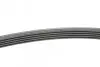 Пас поліклиновий MB A-class (W169)/B-class (W245) CONTINENTAL Contitech 5PK1765 (фото 2)