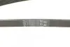 Пас поліклиновий MB A-class (W169)/B-class (W245) CONTINENTAL Contitech 5PK1765 (фото 3)