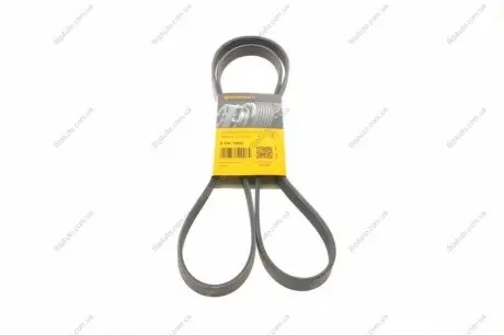 Поліклиновий ремінь Contitech 5PK1800