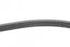 Пас поліклиновий MB A-class (W168) 01-04/Vaneo 1.7 CONTINENTAL Contitech 5PK1715 (фото 2)