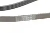 Пас поліклиновий MB A-class (W168) 01-04/Vaneo 1.7 CONTINENTAL Contitech 5PK1715 (фото 3)