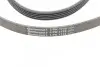 Пас поліклиновий MB A-class (W168) 01-04/Vaneo 1.7 CONTINENTAL Contitech 5PK1715 (фото 4)