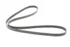 Пас поліклиновий MB A-class (W168) 01-04/Vaneo 1.7 CONTINENTAL Contitech 5PK1715 (фото 5)